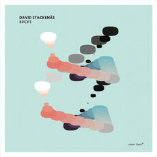 CD Bricks David Stackenas