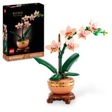 Giocattolo LEGO Botanicals 10343 Mini-Orchidea, Fiori Finti da Costruire, Botanical Collection per Adulti, Idea Regalo per Donna o Uomo LEGO