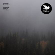 CD Border Woods Frode Haltli