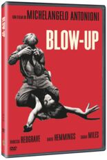 Film Blow up Michelangelo Antonioni