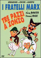 Copertina  Tre pazzi a zonzo