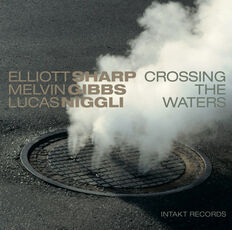 CD Crossing the Waters Elliott Sharp Lucas Niggli Melvin Gibbs