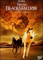 Film Young Black Stallion Simon Wincer