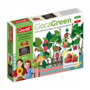Giocattolo Gioca Green Fragola. Quercetti (0670) Quercetti