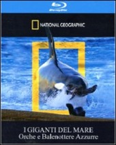 Copertina  I giganti del mare : orche e balenottere azzurre [videoregistrazione]