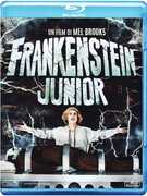 Film Frankenstein Junior Mel Brooks