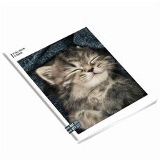 Cartoleria Quaderno Maxi A4 Seven Colour Code Animals Snapshot. Quadretti grandi 5 mm Seven
