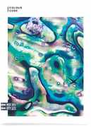 Cartoleria Quaderno maxi A4 Seven Colour Code Nature Snapshot. Quadretti grandi 5 mm Seven