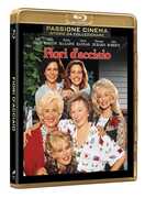 Film Fiori d'acciaio Herbert Ross