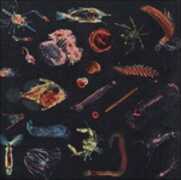 Vinile Plancton Alessandro Fiori
