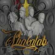 CD Non facciamo musica Shakalab