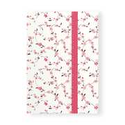Cartoleria Quaderno brossurato Clip Notes piccolo a righe. Clip rossa con rombi Alfabet