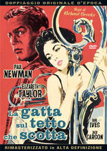 Film La gatta sul tetto che scotta (DVD) Richard Brooks