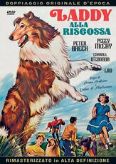 Film Laddy alla riscossa (DVD) Aram Avakian Leslie H. Martison