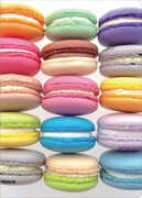 Cartoleria Quaderno maxi A4 Fine Paper a quadretti. Macaroons Fine Paper