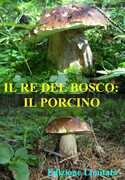 Film Il re del bosco: il Porcino (DVD) P. Maffeis