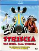 Film Striscia, una zebra alla riscossa Frederik Du Chau