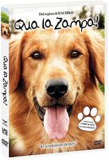 Film Qua la zampa! (DVD) Lasse Hällstrom