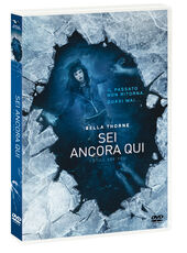 Film Sei ancora qui (DVD) Scott Speer