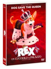 Film Rex. Un cucciolo a palazzo (DVD) Vincent Kesteloot Ben Stassen