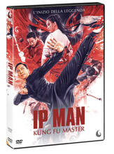 Film Ip Man. Kung Fu Master (DVD) Liming Li