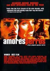 Film Amores perros Alejandro González Iñárritu