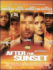 Copertina  After the sunset [Videoregistrazione]