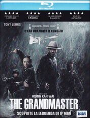 Film The Grandmaster Wong Kar Wai