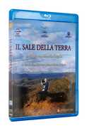 Film Il sale della terra Wim Wenders Juliano Ribeiro Salgado