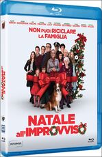 Film Natale all'improvviso Jessie Nelson