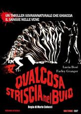 Film Qualcosa striscia nel buio (DVD) Mario Colucci