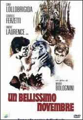 Copertina  Un bellissimo novembre