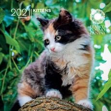 Cartoleria Calendario da parete Kittens 2021 - 18x18 cm Panini