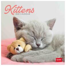 Cartoleria Calendario Legami 2020 Gattini. Kittens - 18x18cm Legami