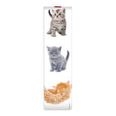 Idee regalo Segnalibro Legami Booklovers con elastico. Gattini. Kittens Legami