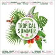CD #Tropicalsummer Compilation