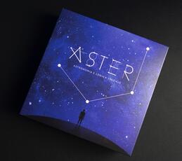 Giocattolo Aster. Gioco da tavolo Mensa Italia
