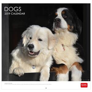 Calendario 2019 30 X 29 Cm Dogs Legami Cartoleria E Scuola Ibs