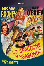 Film Lo spaccone vagabondo (DVD) Tay Garnett