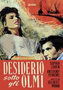 Film Desiderio sotto gli olmi (DVD) Delbert Mann