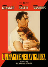 Film L' immagine meravigliosa (DVD) Richard Brooks