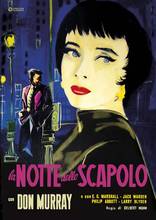 Film La notte dello scapolo (DVD) Delbert Mann