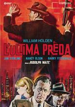 Film L' ultima preda. Restaurato in HD (DVD) Rudolph Maté