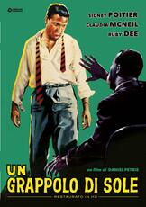 Film Un grappolo di sole. Restaurato in HD (DVD) Daniel Petrie