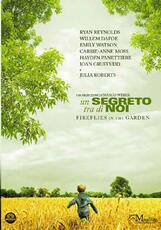 Film Un segreto tra di noi (DVD) Dennis Lee