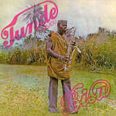 Vinile Bisu Tunde Mabadu