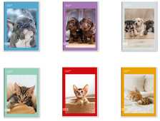 Cartoleria Quaderno A4 Maxi 96/100 Colour Code Animal Snapshot, 4 M - Quadretti piccoli 4 mm - 21 x 30 cm Colour Code