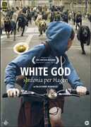 Film White God. Sinfonia per Hagen Kornél Mundruczó