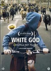 Film White God. Sinfonia per Hagen Kornél Mundruczó