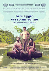Film In viaggio verso un sogno (DVD) Tyler Nilson Michael Schwartz